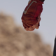 Image for article titled All the Cosmic Secrets We Uncovered in the Stunning Captain Marvel Trailer
